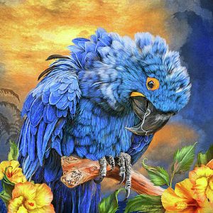 Hyacinth Macaw Crystal Canvas Art