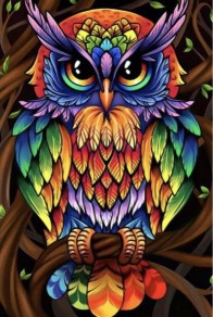 Rainbow Owl - Birds Crystal Canvas Art