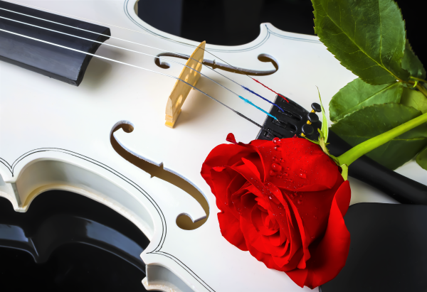 The Instrumental Rose