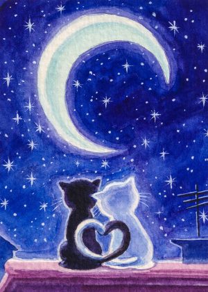 Moonlight Romance 40*60 cm (approx. 16 x 24 in)
